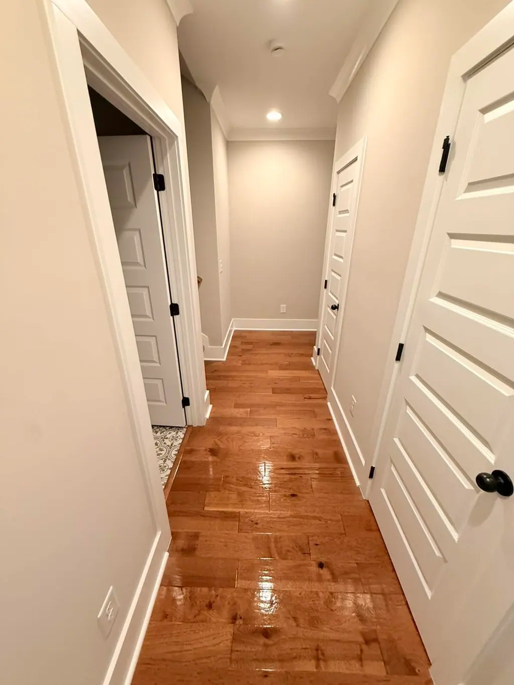Bright hallway with shining hardwood floors and white paneled doors